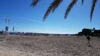 Alcudia Beach